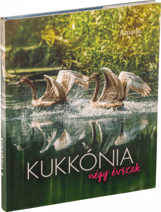 Kukkónia - Négy évszak