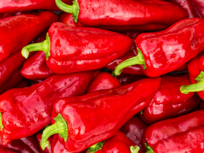 Paprika kápia