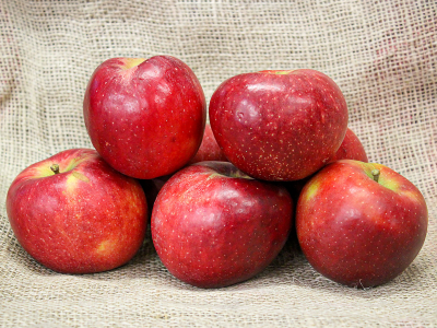 Alma "BRAEBURN" Alma "BRAEBURN"