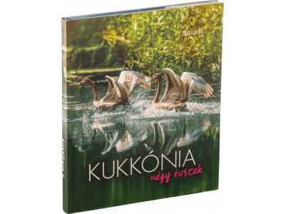 Kukkónia - Négy évszak