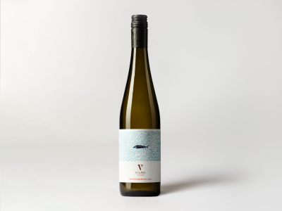Sauvignon Blanc, Modern balance, 2024